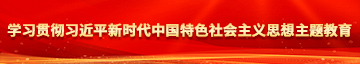男生被男生操网站学习贯彻习近平新时代中国特色社会主义思想主题教育
